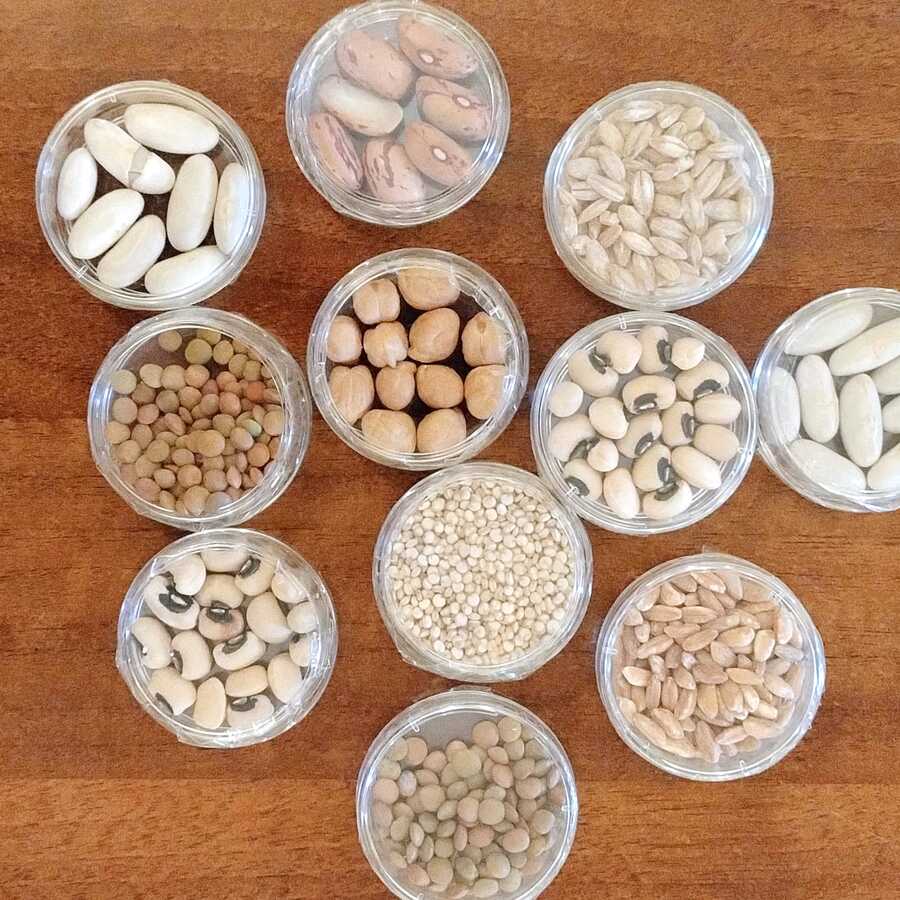 Selezione di legumi e cereali per l'alimentazione plant-based